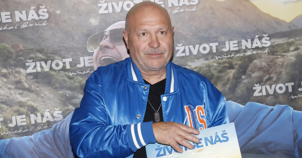 Zpěvák Michal David