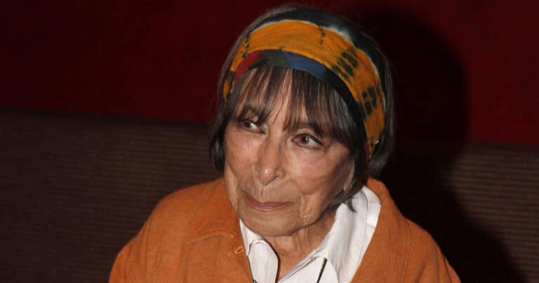 Zpěvačka Hana Hegerová