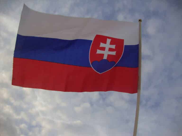 hand flag of slovakia 2