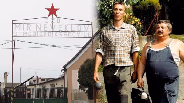 České filmy mají hlášky, které zná každý, ale ke správnému filmu je přiřadí málokdo. Zjistěte, jestli patříte k výjimkám