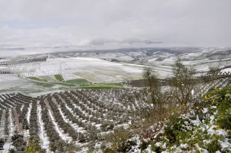 snowy landscape el saucejo 129